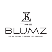 The BLUMZ